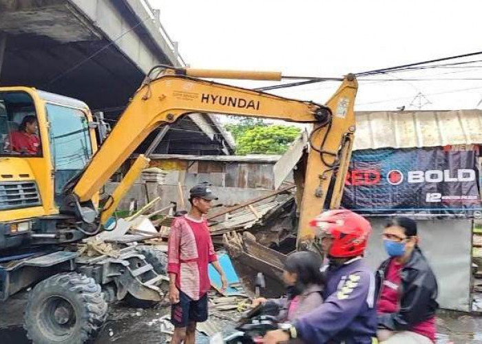 Belasan Bangli di Tambak Mayor Dibongkar, Kembalikan Fungsi Awal