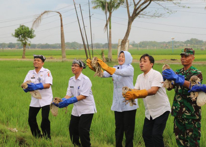 Wakil Bupati Bojonegoro Lepaskan Burung Hantu Pengendali Tikus Ramah Lingkungan di Padangan
