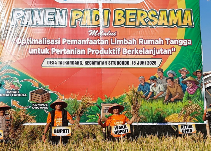 Limbah Dapur Dongkrak Panen Padi Situbondo Tembus 9,1 Ton per Hektare