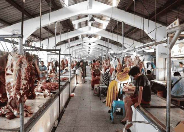 Gejolak Relokasi Tak Goyang Stok Daging, Harga di Pasar Arimbi Surabaya Stabil