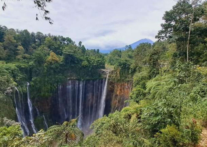 Tips Aman Liburan ke Air Terjun yang Lagi Hype di Indonesia 2026