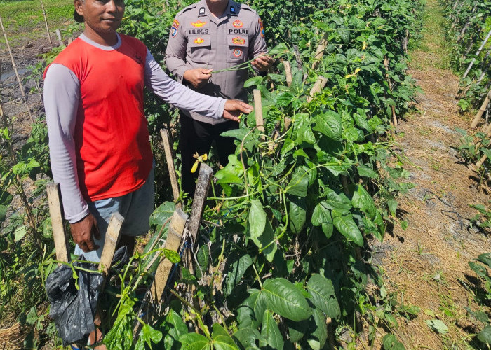 Bhabinkamtibmas Kwadungan Monitoring Pekarangan Pangan Bergizi, Dukung Ketahanan Pangan Warga