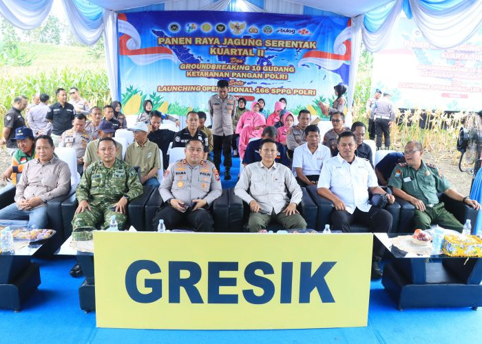 Polres Gresik Panen Raya Jagung 80 Ton di Panceng, Dukung Ketahanan Pangan Nasional