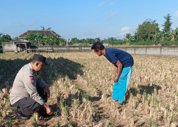 Bhabinkamtibmas Tamanan Kediri Kota Dampingi Petani Dukung Swasembada Pangan