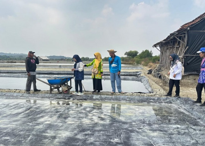 Target Garam Lamongan 20 Ribu Ton, Produksi Agustus Baru 1.317,18 Ton