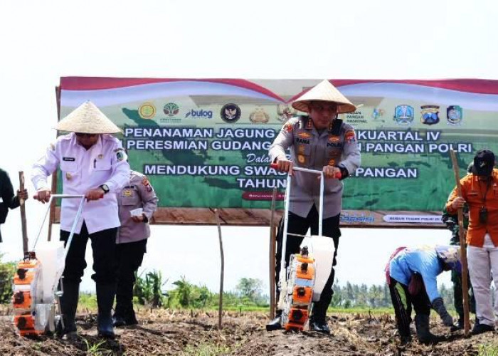 Dukung Ketahanan Pangan, Polres Probolinggo Tanam Jagung Kuartal IV di Desa Sidodadi Paiton