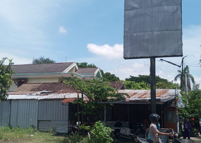 Tak Dikelola Maksimal, Pasar Ikan Pemkab Kediri di Gampengrejo Jadi Kebun Pakan Ternak