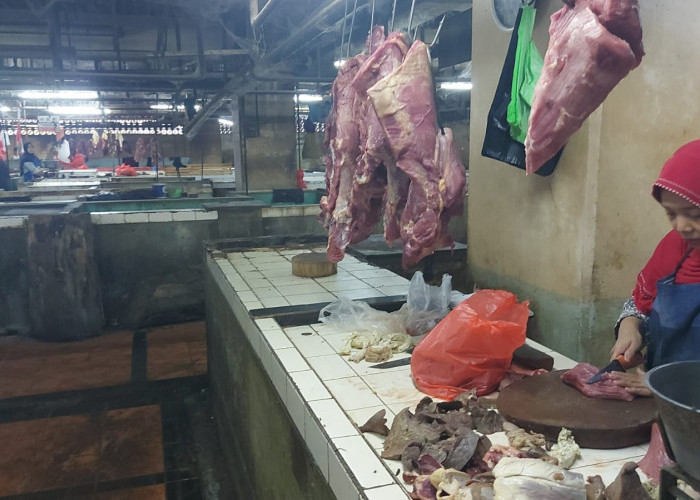 RPH Surabaya Pastikan Stok Daging Stabil dan Tetap Aman dari PMK