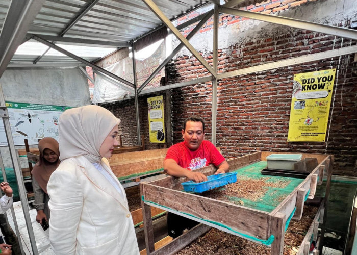 Lita Machfud Arifin Bangun 4 Kandang Maggot untuk Kampung Oase Songo Surabaya