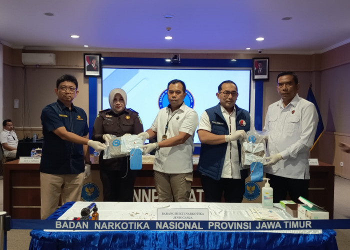 BNNP Jatim Musnahkan 2 Kg Ganja Kiriman Ekspedisi ke Malang, Tersangka Terancam Hukuman Mati