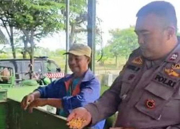 Sat Binmas Polres Ngawi Belajar Pengolahan Jagung di Desa Guyung Gerih