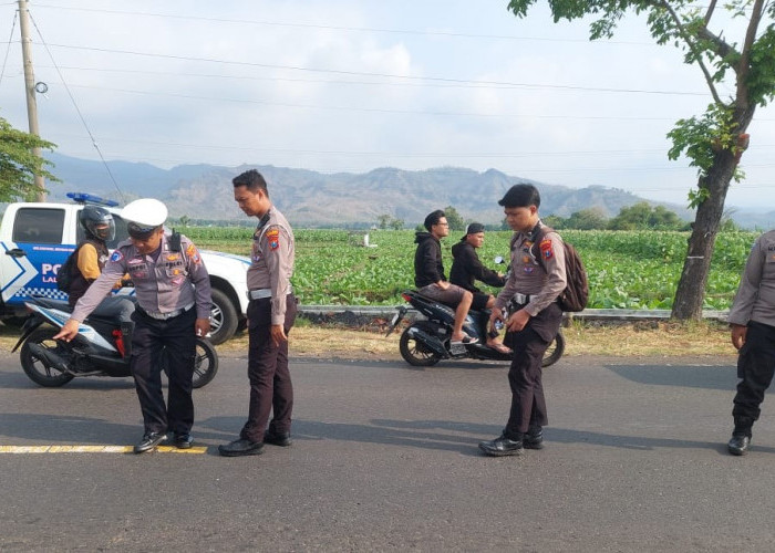 Tabrakan Truk Vs Pikap, 2 Tewas di Jalur Pantura Situbondo