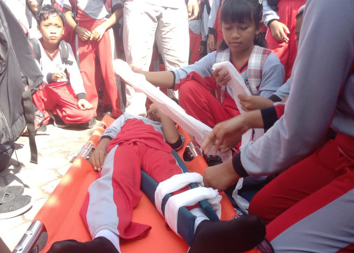 Gandeng Jepang, PMI Jember Integrasikan Edukasi Kebencanaan ke Dalam Kurikulum Sekolah