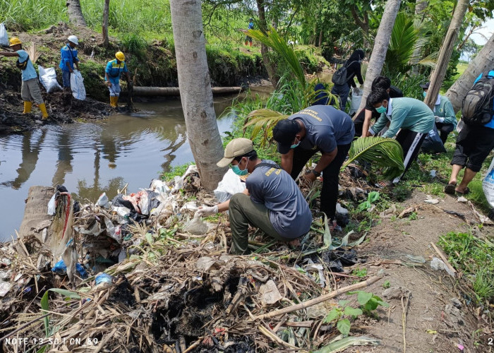 Tanamkan Kebudiutamaan, Mahasiswa UIBU Bersihkan Dam Sembujo