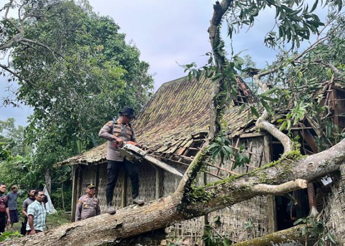 20 Rumah Rusak, Personel Tiga Pilar Gercep Atasi Musibah Puting Beliung di Desa Batangan