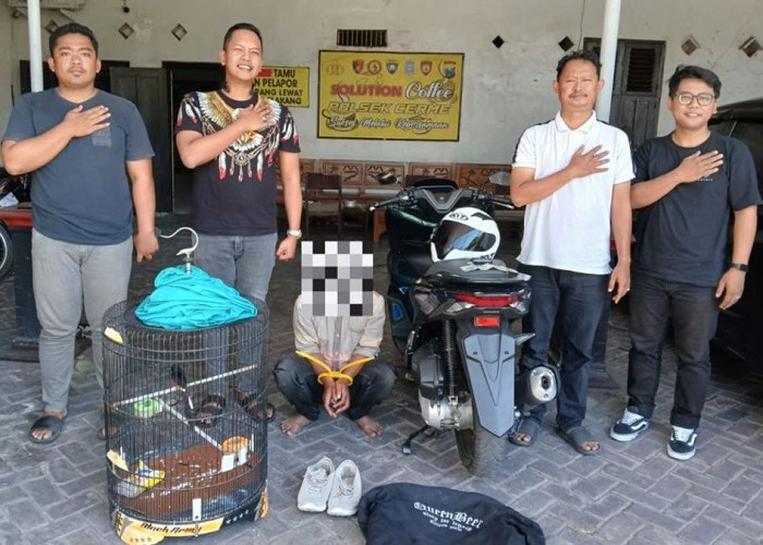 Pria Sampang Ditangkap Warga Curi Murai Batu di Cerme, Pernah Beraksi di 4 TKP