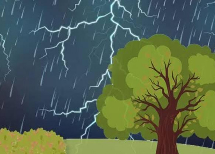 Prakiraan Cuaca Surabaya Hari Ini: Waspada Hujan Disertai Petir