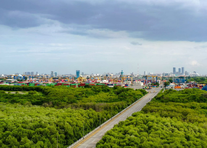 Di Tengah Padatnya Bongkar Muat Pelabuhan, TPS Tambah Ruang Hijau Setara Empat Lapangan Bola