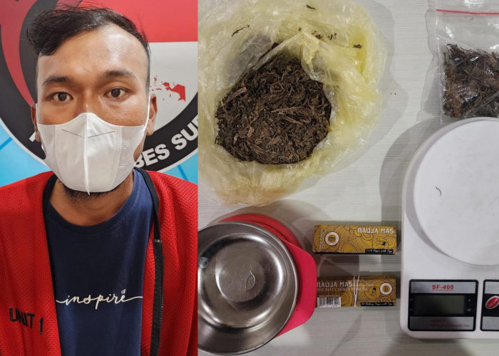 Teman Titip Ganja, Kurir Ekspedisi di Surabaya Diringkus Polisi