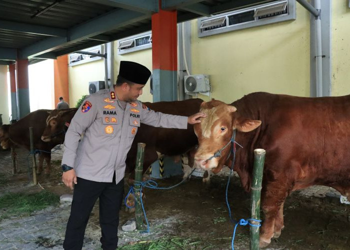 Polres Gresik Salurkan Hewan Kurban Iduladha 2026, Wujud Kepedulian Sosial 