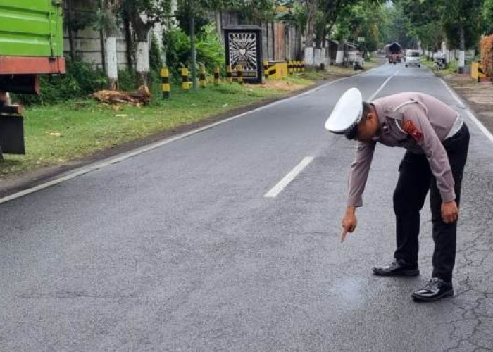 Tertabrak Tronton di Ajung, Pelajar Jember Kritis