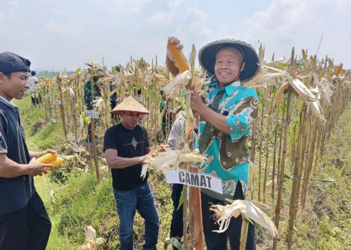 Polres Blitar Raih Penghargaan Presiden atas Dukungan Swasembada Pangan