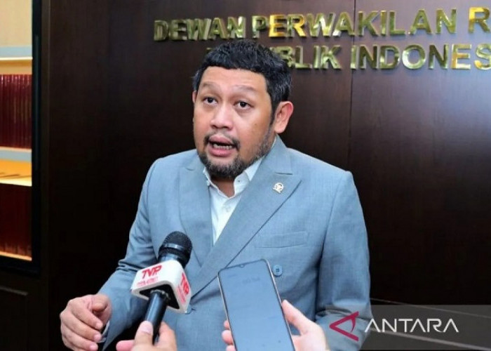 DPR Minta 21 Korporasi Terkait Karhutla Diproses Hukum