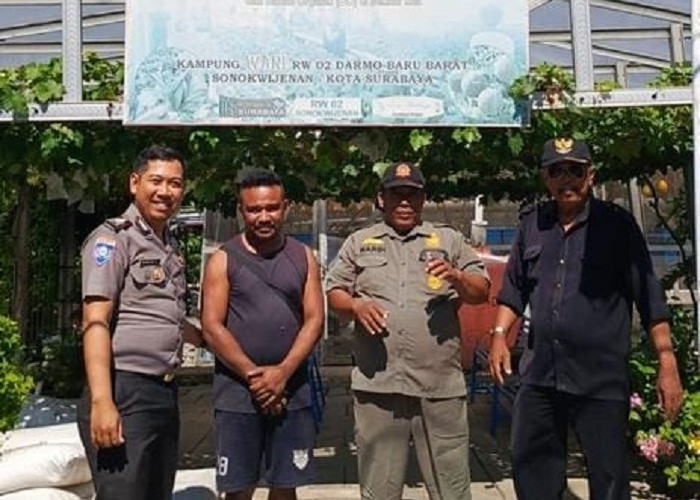 Bhabinkamtibmas Polsek Sukomanunggal Dampingi Panen Sayur Hidroponik di Surabaya, Perkuat Ketahanan Pangan