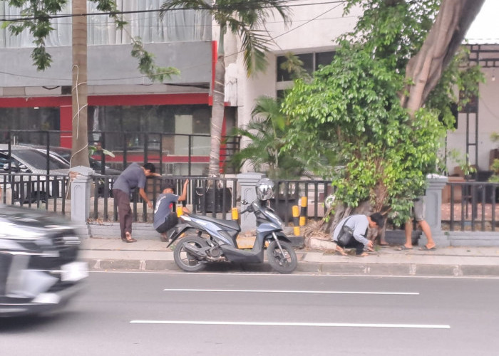 Demam Jagad Coin Hebohkan Surabaya, Siswa hingga Orang Dewasa Berburu Koin Bernilai Jutaan Rupiah