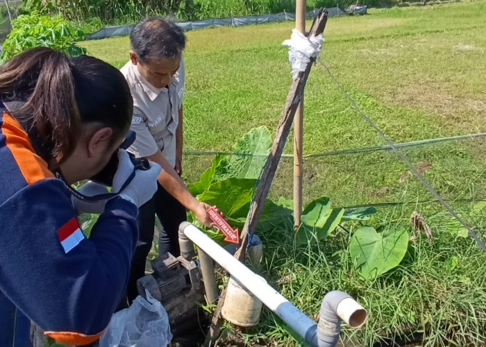 Perbaiki Kolam Ikan,  Pelajar di Tulungagung Tewas Kesetrum   