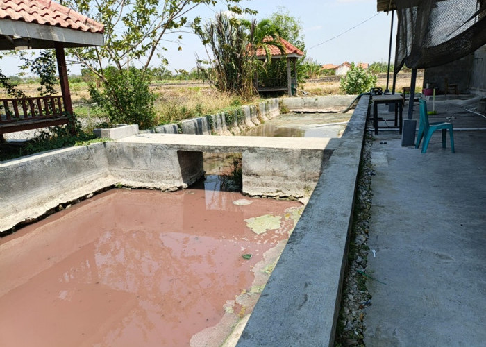 Dapur MBG Lamongan Kosong, IPAL Keruh dan Bau Menyengat Jadi Sorotan