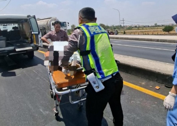 Terobos Lampu Merah: Truk Tronton Hantam Motor di JLU Lamongan, Pemotor Tewas di TKP