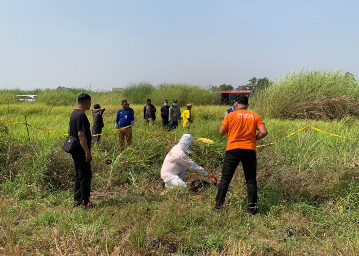 Dilaporkan Hilang 14 Hari, Bapak 2 Anak Ditemukan Tewas Membusuk di Area Sawah Tulangan-Sidoarjo