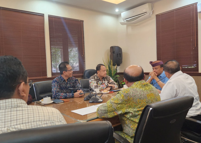 Sinergi Pembangunan Infrastruktur Kelistrikan, PLN UIP JBTB Audiensi dengan Pemprov Bali      