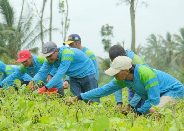 Panen Raya Nasional Lapas Malang Sumbang 9 Ton