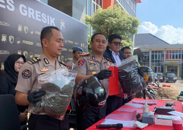Pencuri Motor 4 TKP Diringkus Polres Gresik, Uang Penjualan Dipakai Narkoba dan Bayar Hutang