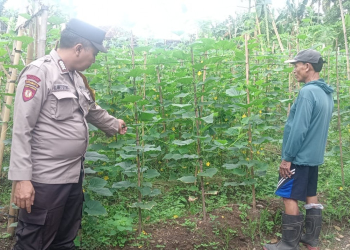 Sinergi Polri dan Warga Hijaukan Pekarangan, Dorong Ketahanan Pangan Keluarga