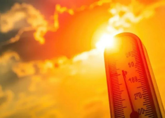 Suhu Surabaya Menyengat! BMKG Sebut Kemarau Dini dan Potensi El Niño Jadi Pemicu Cuaca Ekstrem