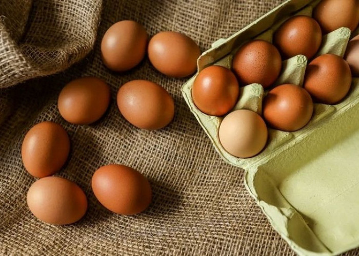 Cara Mudah Memilah Telur Segar dan Layak Konsumsi agar Masakan Tetap Sehat