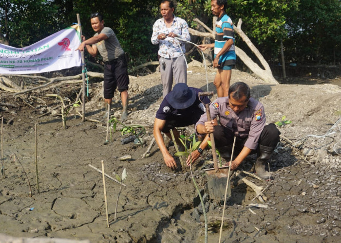 Polisi Tanam Mangrove di Pesisir Desa Tambak Cemandi