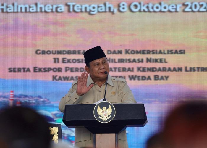 Dua Tahun Pemerintahan Presiden Prabowo, Hilirisasi Melesat dan Investasi Makin Mantap