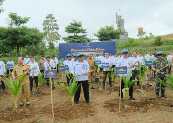 Lahan SAE L’SIMA Ngajum Lapas Kelas I Malang Ditanami Ribuan Bibit Kelapa