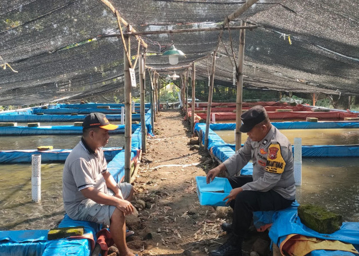 Bhabinkamtibmas Geneng Monitoring Budidaya Lele, Dukung Ketahanan Pangan Warga