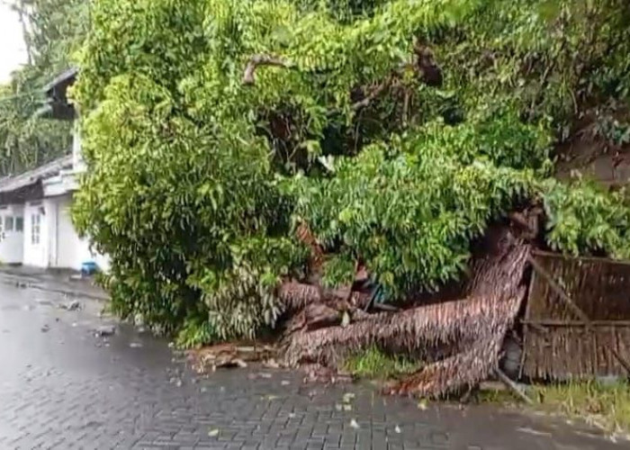 Dilanda Hujan Lebat, Longsor Timpa Rumah Warga di Pulau Bawean