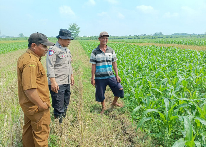 Polsek Balongbendo Sambang Pekarangan Produktif Desa Sumokembangsri