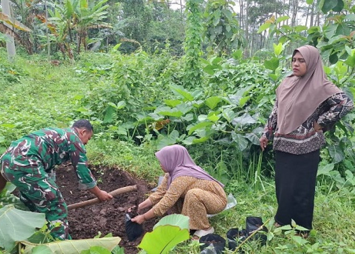 Babinsa Jenggrong Lumajang Dukung PKK Sukseskan Program P2L Hijaukan Pekarangan