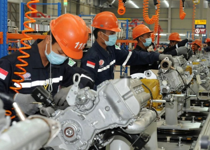 Pemerintah Buka Lagi Program Magang Bergaji UMK, Targetkan 80.000 Lulusan Baru