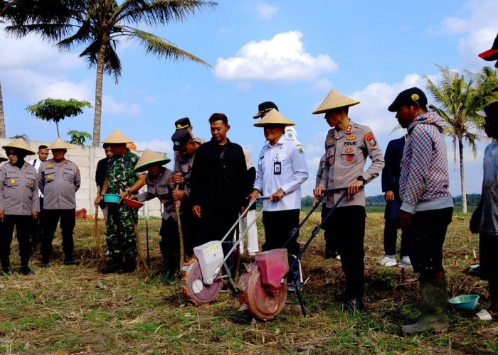 Polresta Malang Kota dan Dispangtan Tanam Jagung Bersama