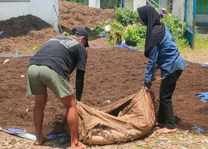 Ubah Limbah Jadi Dolar, Cerita Pupuk Organik Mayang yang Diminati Petani Negeri Sakura
