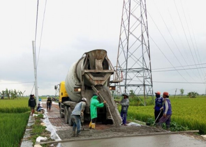 Wajah Cantik Infrastruktur Jalan Membelah Sawah di Baureno-Bojonegoro, Warga Juluki Zamrud Seloistiwa